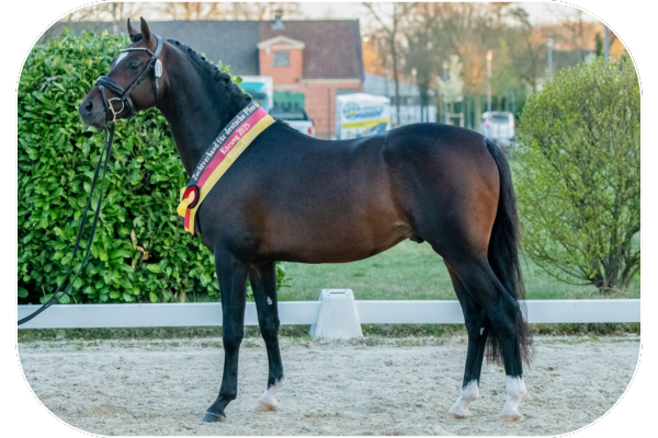 Reuschbachhof's Blake Carrington